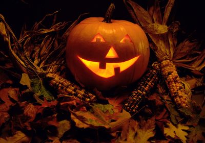 Five Ways for Mount Dora Homes to Get Festive This Halloween