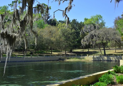 Ocala National Forest: a Local Summer Treasure