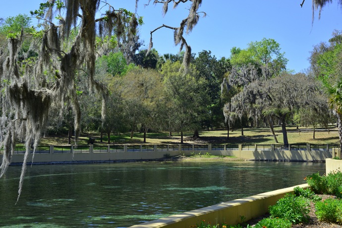 Ocala National Forest: a Local Summer Treasure