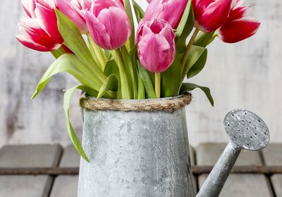 Spring into Spring with new Décor