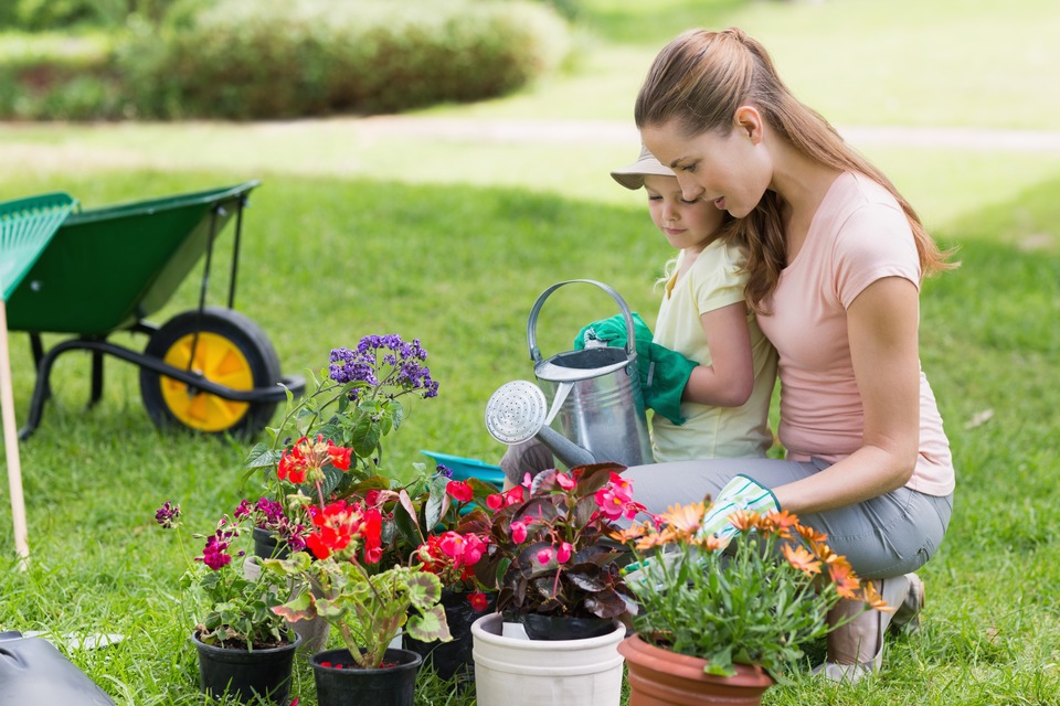 Why You Should Start a Springtime Garden