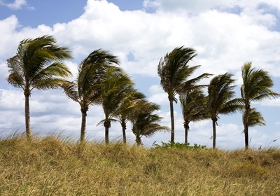 Mount Dora Homes: A Tour of Hurricane Protection