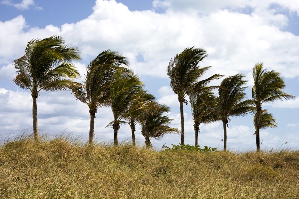 Mount Dora Homes: A Tour of Hurricane Protection