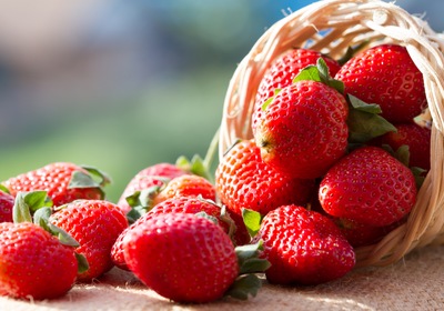 August Trivia: Which Local Florida City is Known For Their Strawberries?