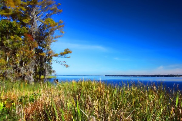 Exploring Lake County