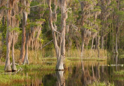 June Trivia: What Lake County Lake is Steeped in Florida History?