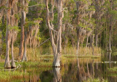 June Trivia: What Lake County Lake is Steeped in Florida History?