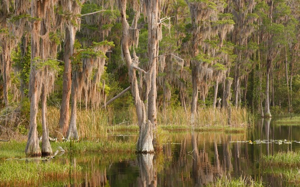 June Trivia: What Lake County Lake is Steeped in Florida History?