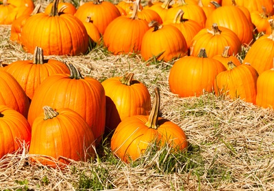 Making It Your Favorite Fall Ever: 5 Things to Do in Lake County