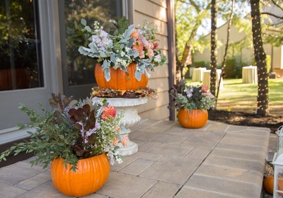 Designing Curb Appeal with Fall Flair