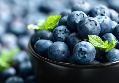 Blue Beauty: Celebrating the 4th Annual Mount Dora Blueberry Festival