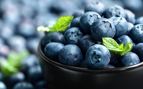 Blue Beauty: Celebrating the 4th Annual Mount Dora Blueberry Festival