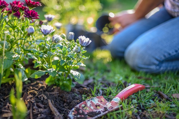 3 Tips to Get Your Yard Ready for Spring
