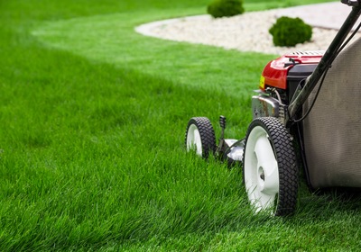 Investing in Lawn Care to Increase Your Home's Value in Leesburg, FL