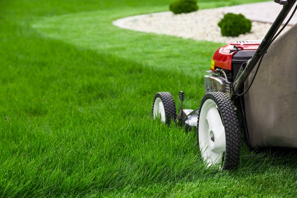 Investing in Lawn Care to Increase Your Home's Value in Leesburg, FL